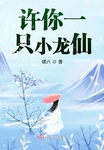 会计的计划