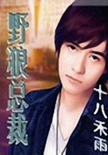 cpa备考重点