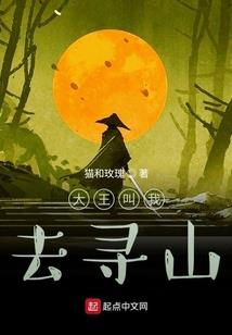大洋财税